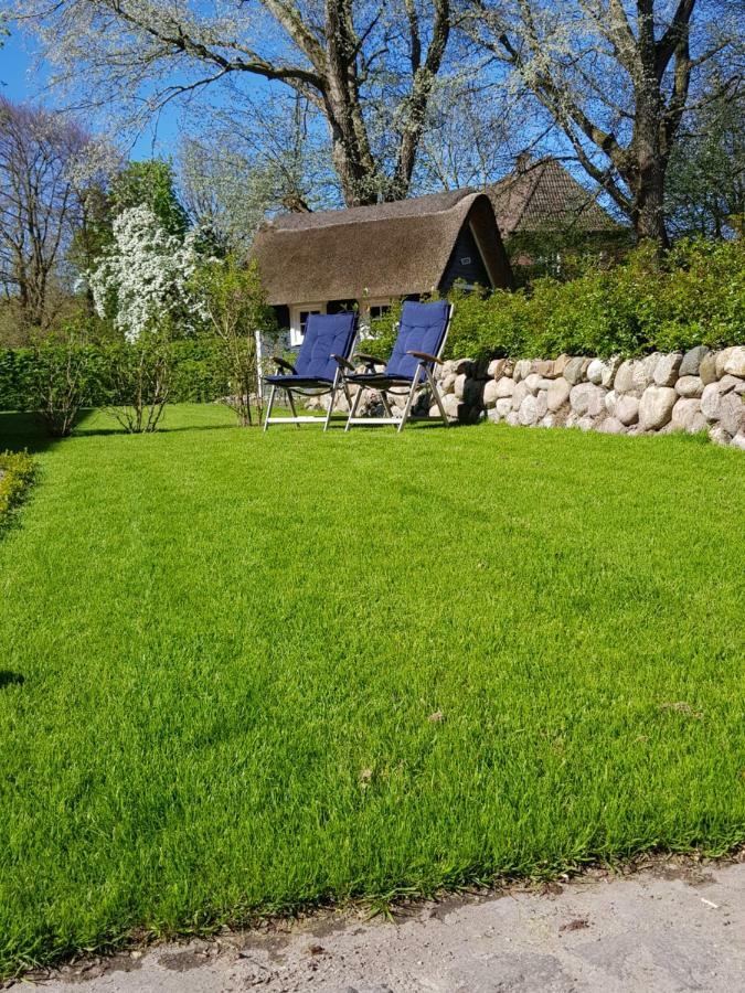 Ferienhaus De Friesenjung *